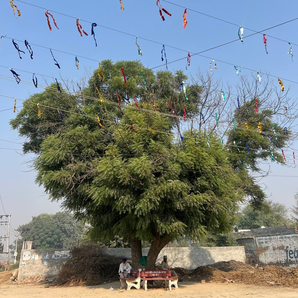 Village Scene 3